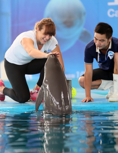 0的比分收 0的比分收